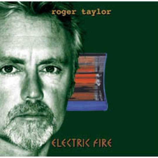 Electric Fire cover